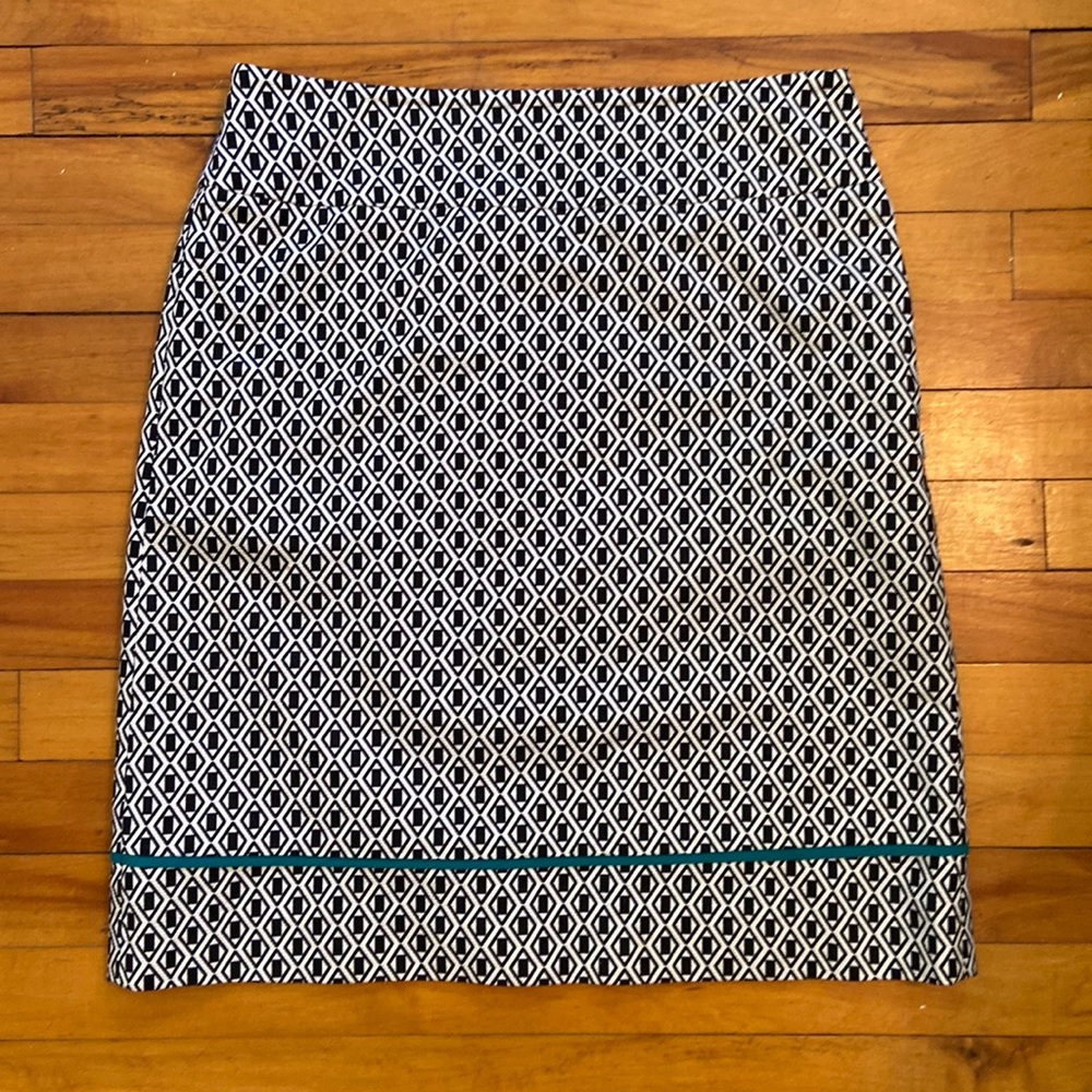Ann Taylor skirt - excellent condition!